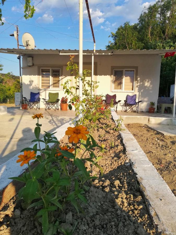 Alibaba Villa Near Airport And Beach Dalaman Kültér fotó