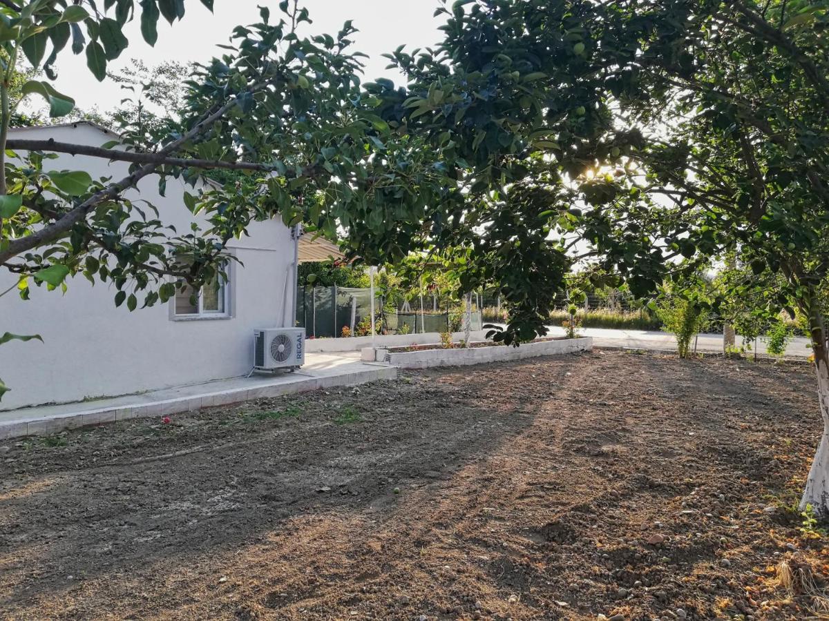 Alibaba Villa Near Airport And Beach Dalaman Kültér fotó