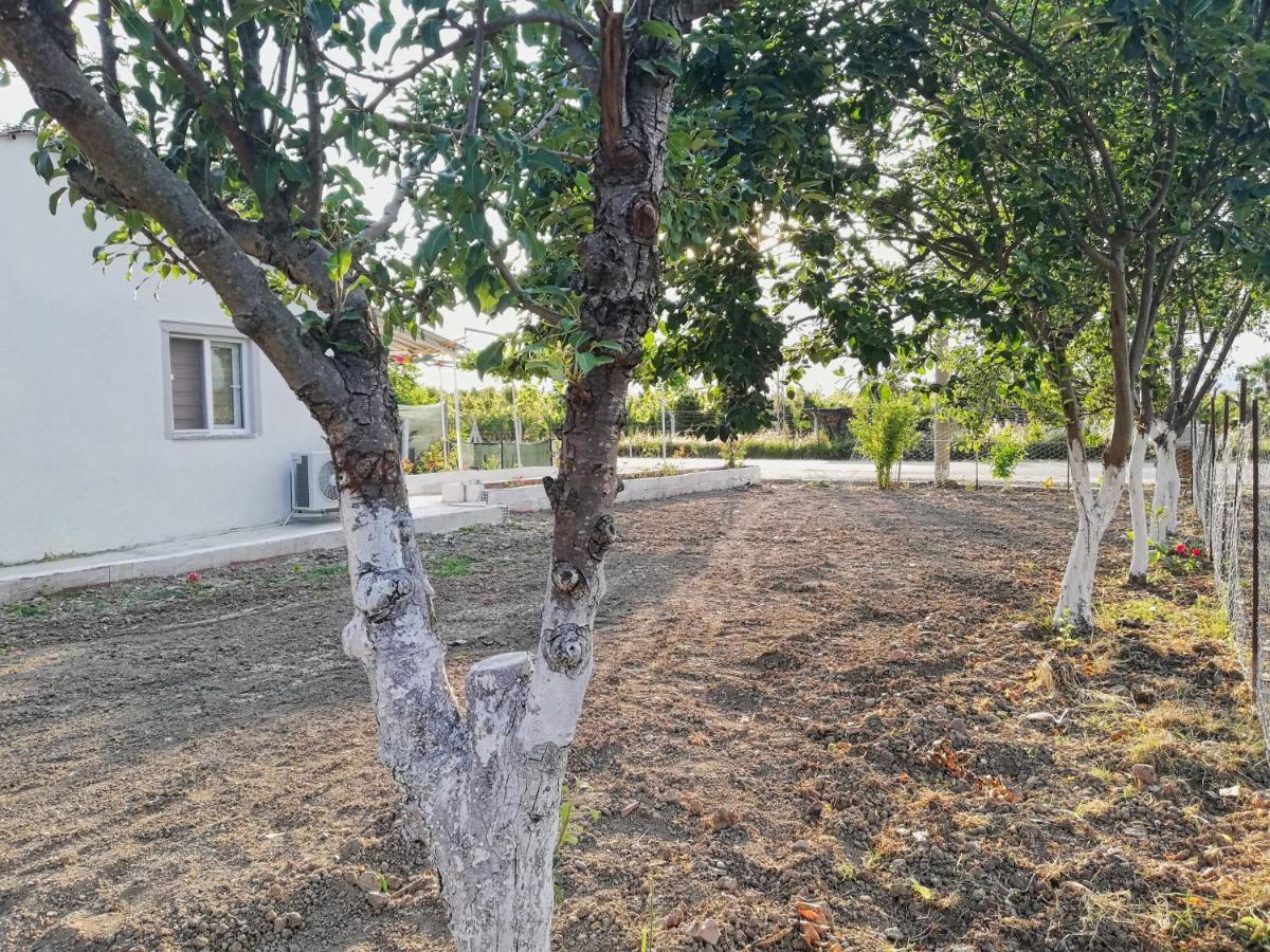 Alibaba Villa Near Airport And Beach Dalaman Kültér fotó